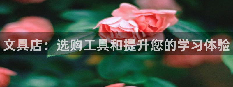 九尾园游会：文具店：选购工具和提升您的学