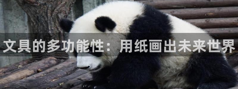 j9九游会最新网站：文具的多功能性：用纸