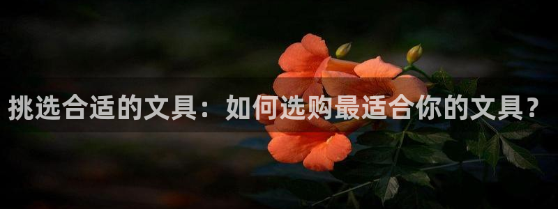 九游会登录入口：挑选合适的文具：如何选购