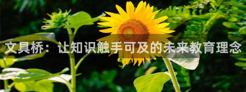 九游会怎么提款：文具桥：让知识触手可及的