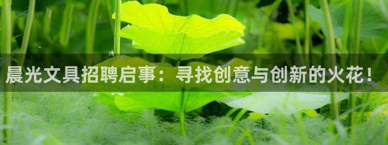 九游游戏股票会退市吗吗：晨光文具招聘启事