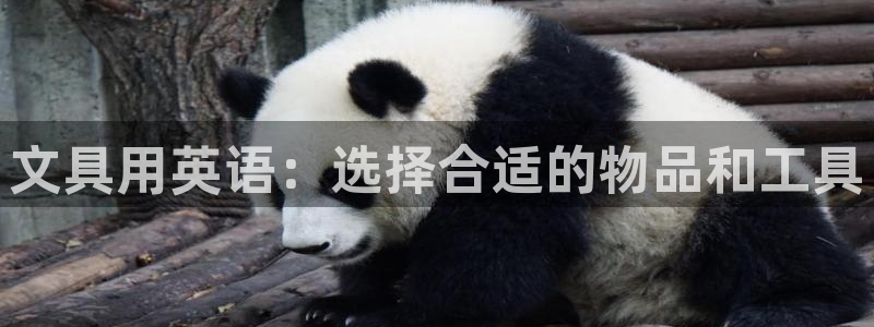 ag九游会官网客服：文具用英语：选择合适