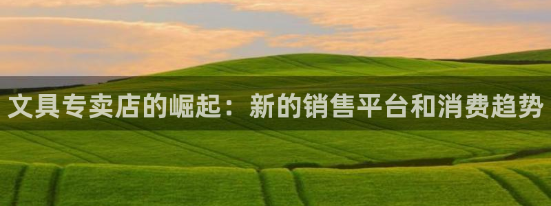 九游账号会：文具专卖店的崛起：新的销售平