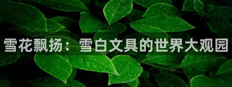 j9九游会手机版：雪花飘扬：雪白文具的世