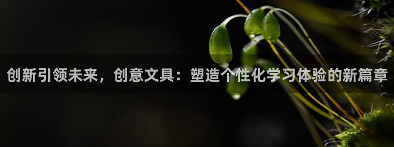 九游会游戏：创新引领未来，创意文具：塑造