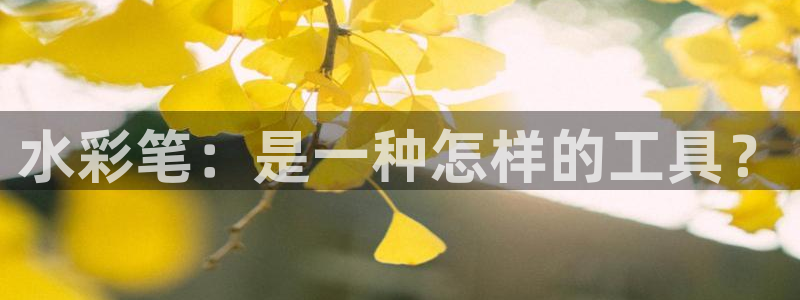 哪个才是九游会：水彩笔：是一种怎样的工具