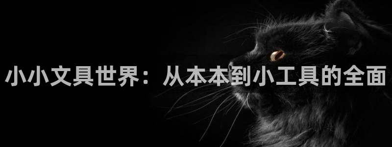 j9九游会平台：小小文具世界：从本本到小